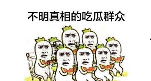 吃瓜群众无聊网友,揭秘吃瓜群众与无聊网友的欢乐世界