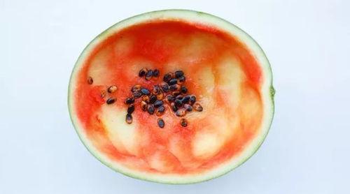 吃瓜切瓜勺子怎么做,吃瓜切瓜两不误，勺子变身实用工具